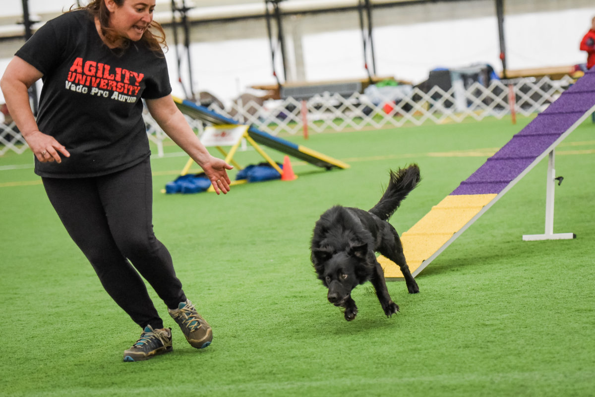 MasterClass: Connection